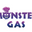 MonsterGas Store logo